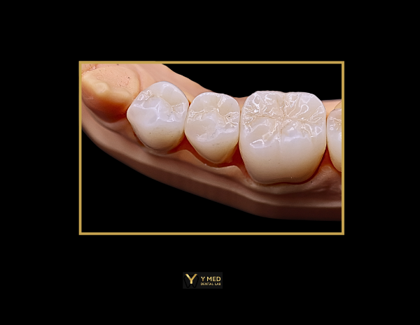 Website Products (25)