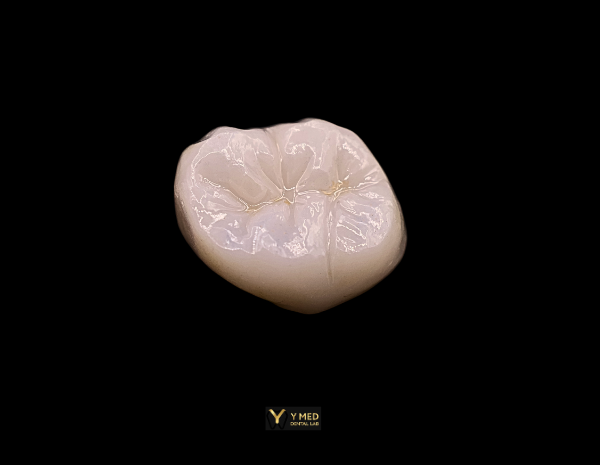 Website Products (33)