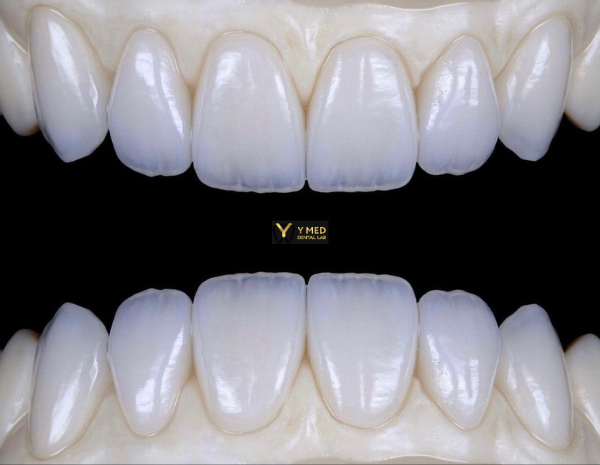 Website Products (8)