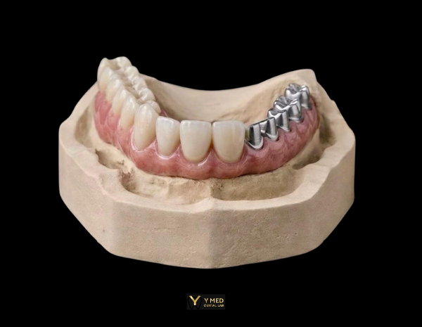 Website Products (89)